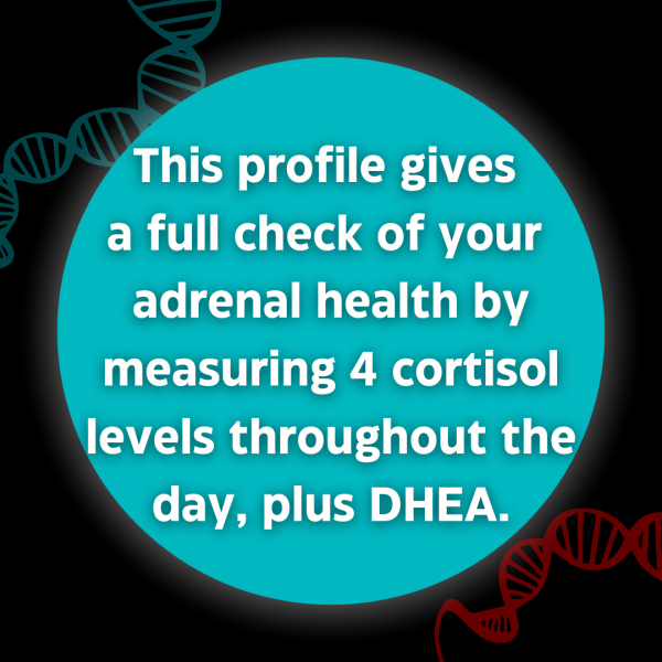 DDI Adrenal Function Profile (DHEA + Cortisol [4x a day])