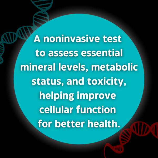 BMX HTMA Comprehensive Plus Profile (Hair Tissue Mineral Analysis + Full Report)