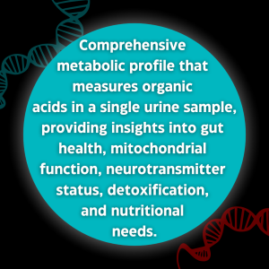 BMX Urine Organic Acids (OAT)
