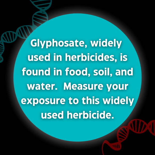 RTL Glyphosate Exposure Analysis
