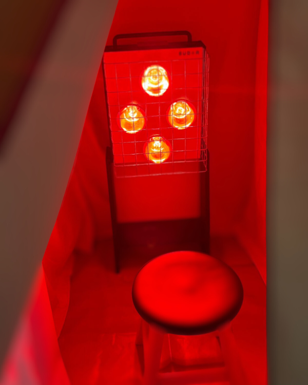 SUDOR Near Infrared Sauna - Image 3